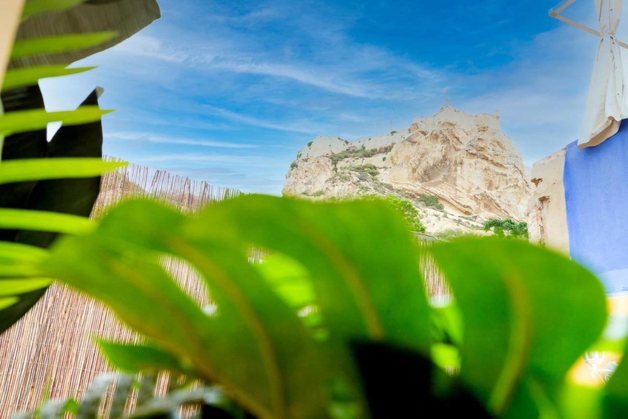 Moonkey - Casa Toledo Villa อาลิกันเต ภายนอก รูปภาพ